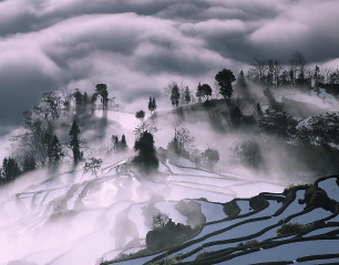 元阳