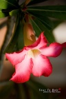 nEO_IMG_logo_DSC_5192