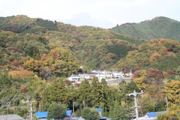 藤野