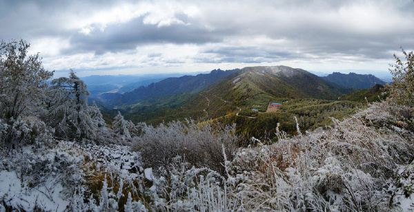 风雪雾灵