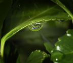 水滴中的世界