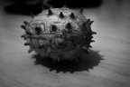 _TNW2203