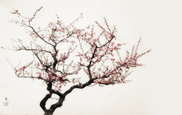 2012梅
