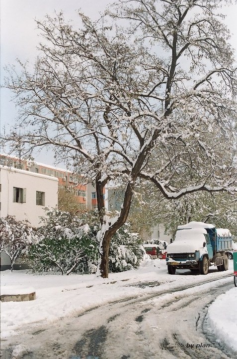 上地