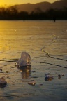 ice