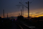 IMGP6406-r