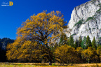 秋之色1@Yosemite Valley