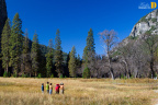 秋之色3@Yosemite Valley