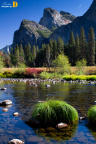 秋之色5@Yosemite Valley