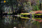 秋之色6@Yosemite Valley