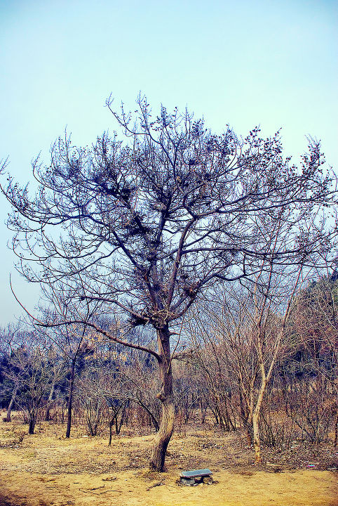 <em>两女一桶</em>gif》一年四季风景组图》一年四季风
