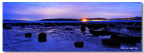 _DSC7919_1200