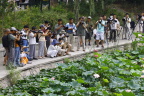 大阵仗
