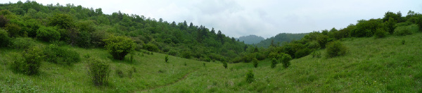 秦岭平河梁2