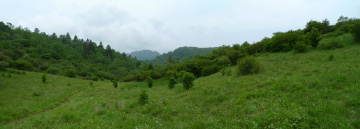 秦岭平河梁1