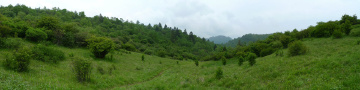 秦岭平河梁3