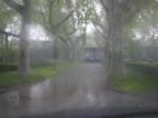 雨蒙蒙