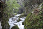 秦岭风光23