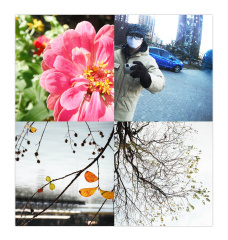 2011去了
