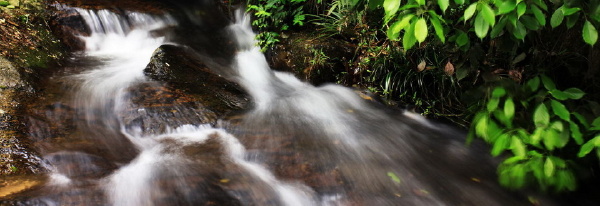 IMG_9267a