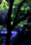 IMG_0945a