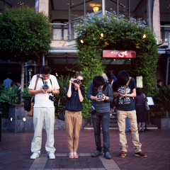 Hasselblad 500CM 80mm f/2.8 C T* Kodak Portra 160VC