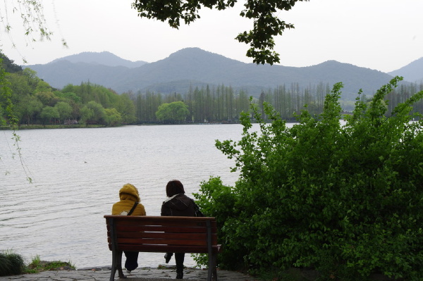 《观景》