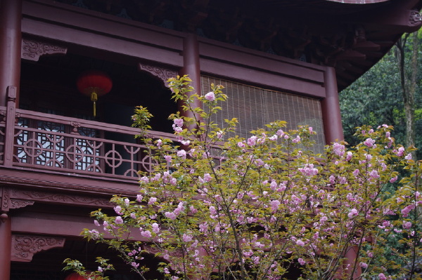 《香楼》