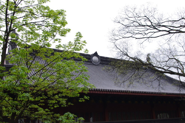 《庙顶》