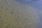 《水》