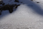 《雪将融》
