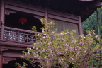 《香楼》