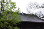 《庙顶》