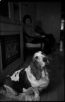 Untitled-17