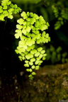_IGP4164-1