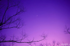夜