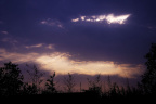 _IGP4731-1