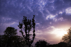 _IGP4745-1