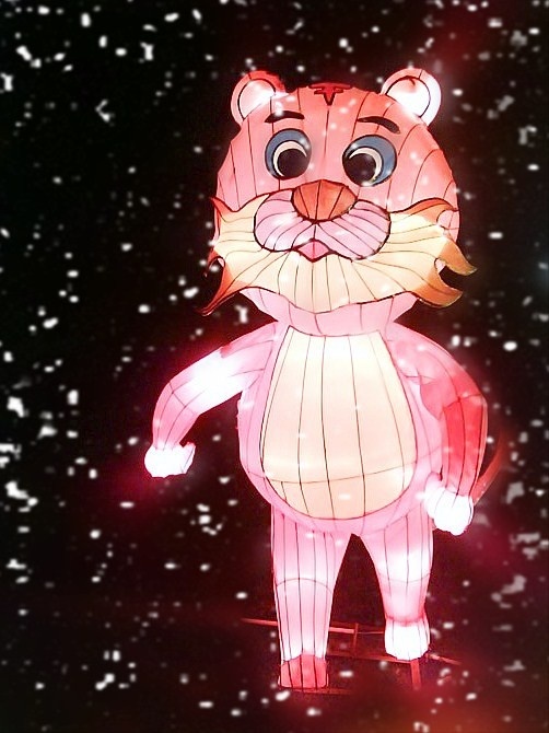 独影
