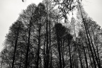 SDIM0724