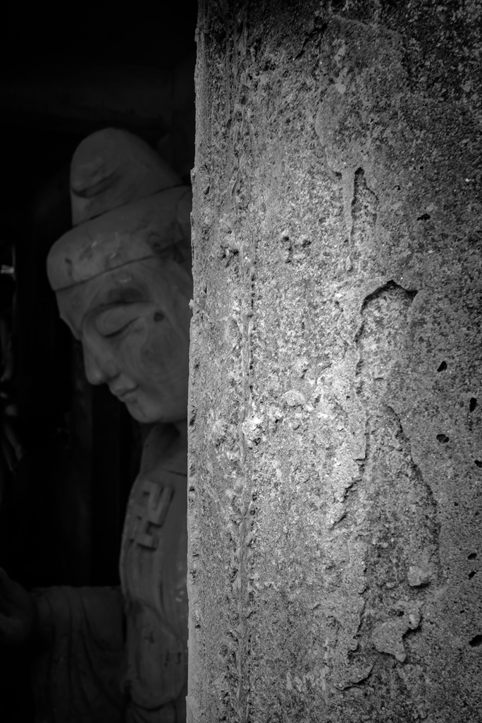 念佛是谁 - 黑白, 人文 - 念佛是谁 - 大虫