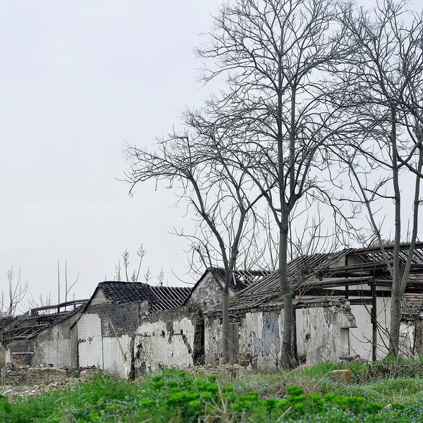 再见，南京