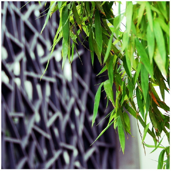 0011_resize