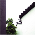 0008_resize
