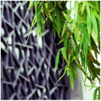0011_resize