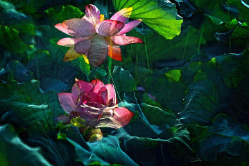 DSC_0022-9