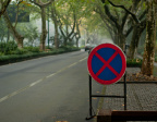 杨公堤-路
