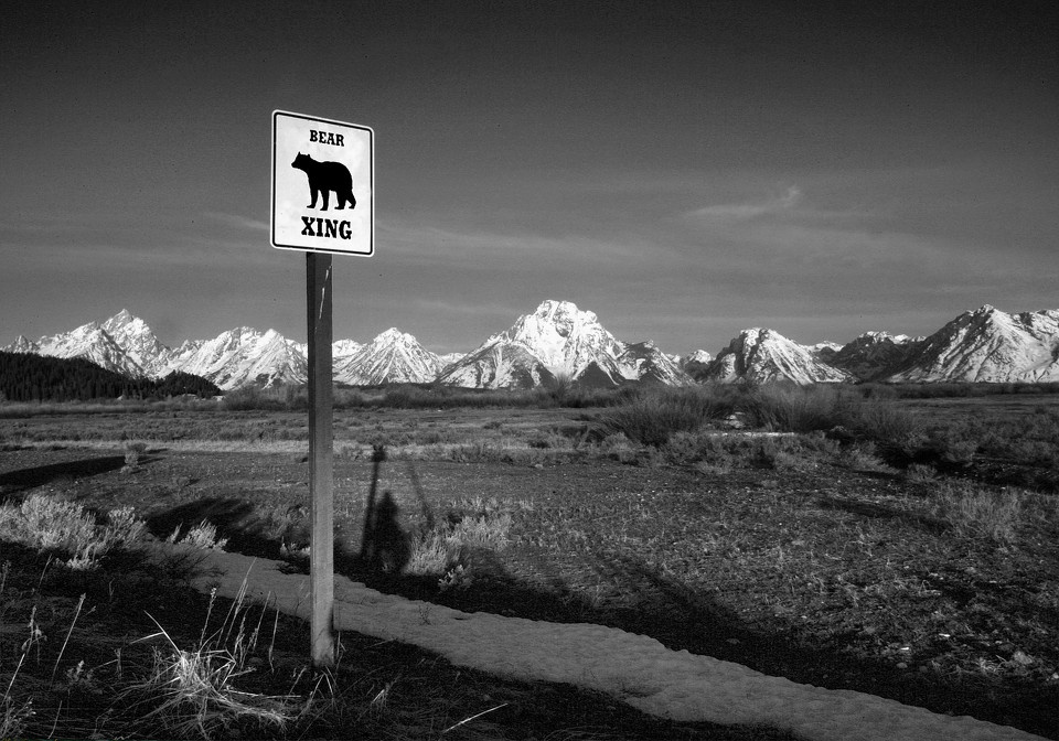 有熊出没 - 唐三石