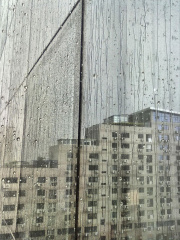雨