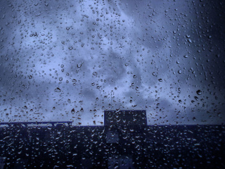 夏雨